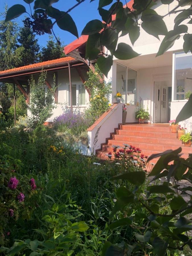 Dom Natura Grzybowo  Eksteriør billede